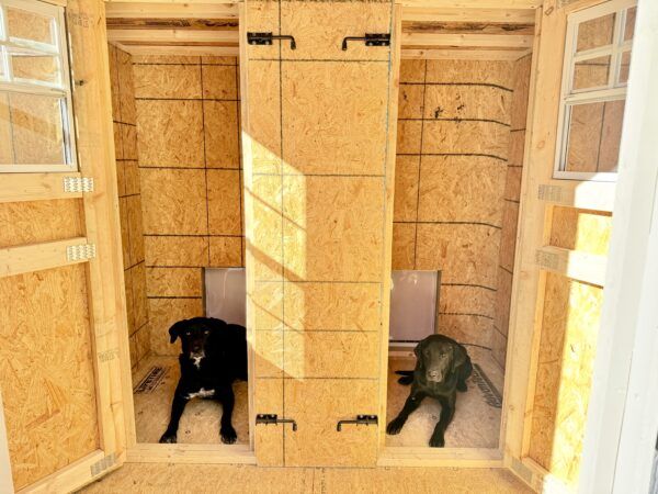 8x16 Dog Kennel - Image 7